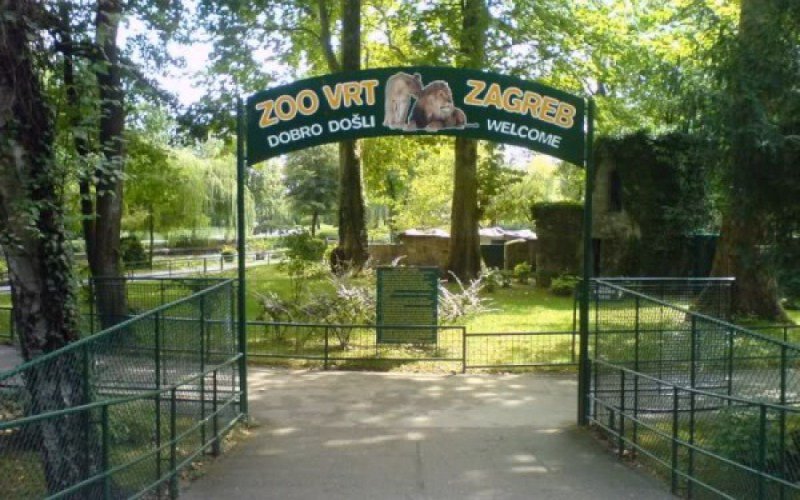 Vučica pobjegla iz zagrebačkog ZOO vrta